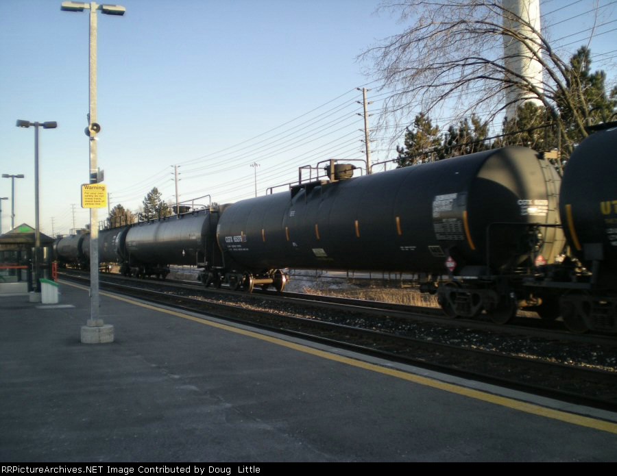 CGTX 65279