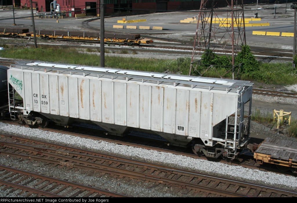 CRDX 13559