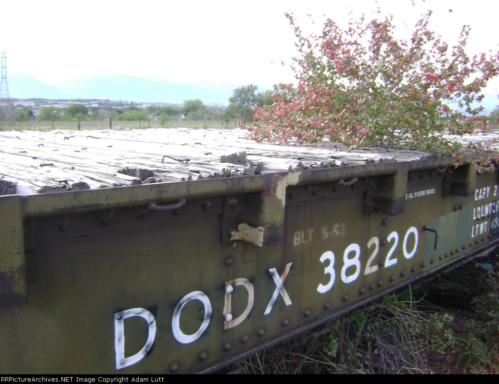 DODX 38220 and a tree?