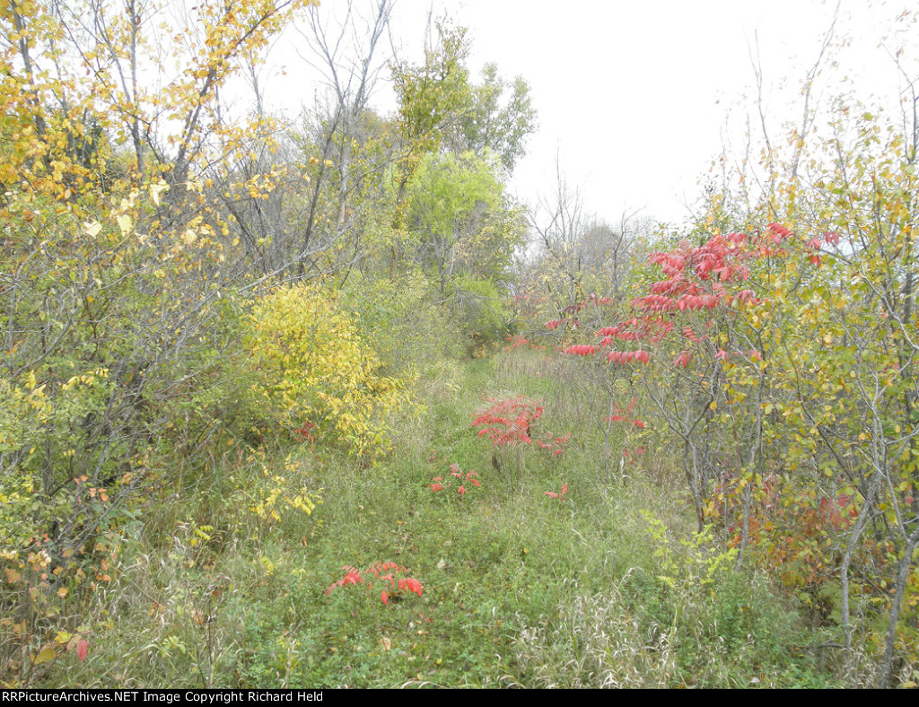 No More Tootin' Louie/Cheap And Nothing Wasted