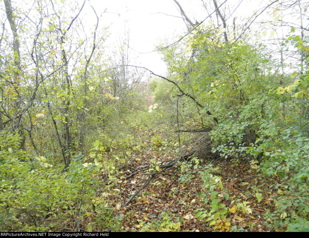 Approaching The Six Mile Creek Pond