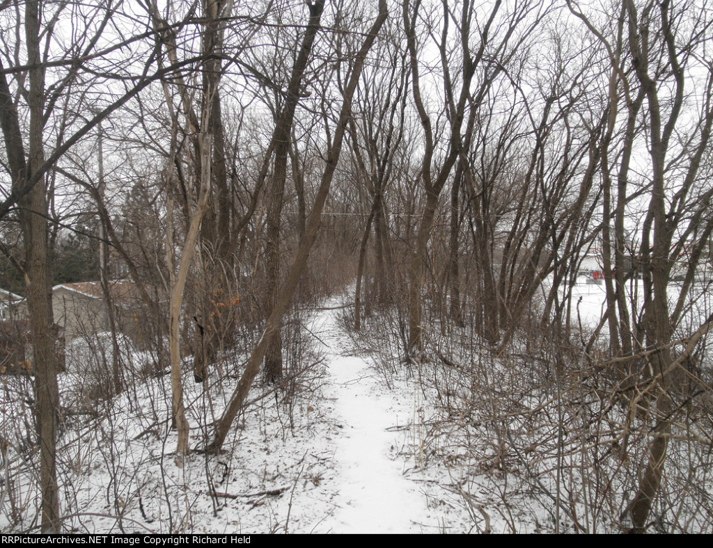 Wild And Overgrown Milwaukee