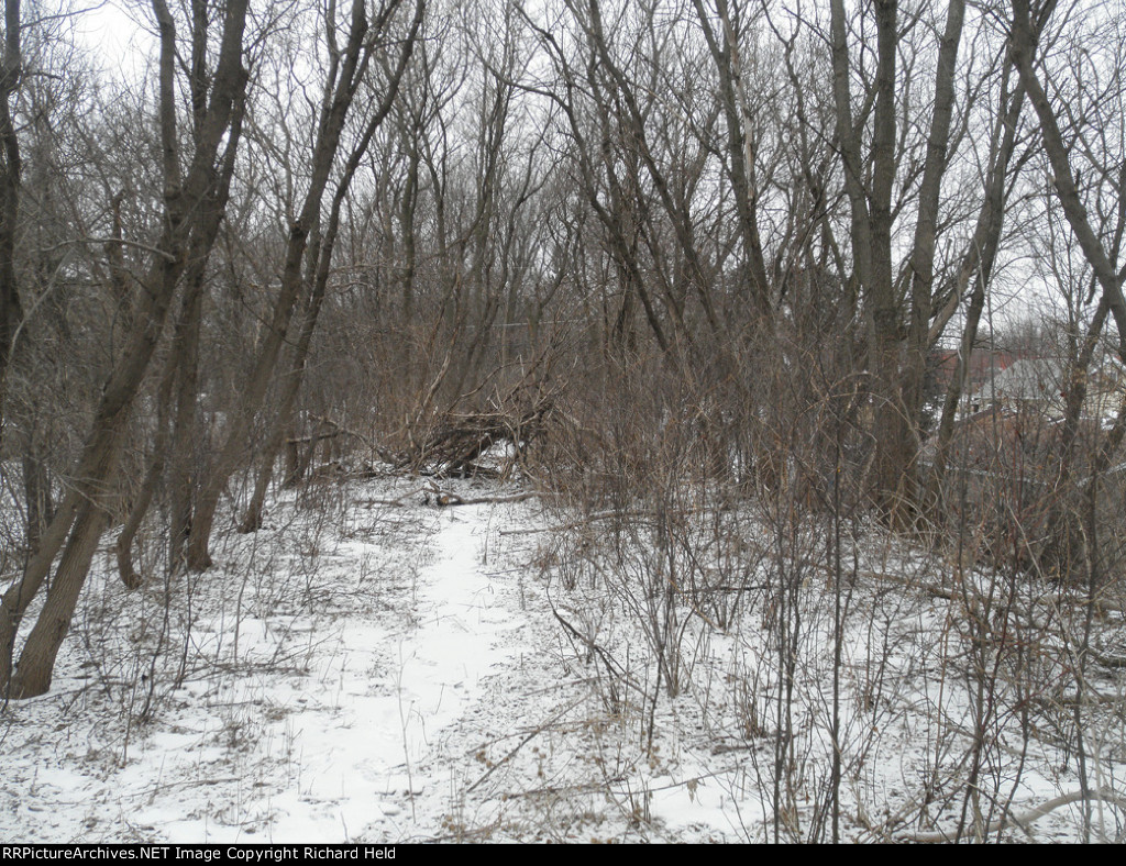 Trees And Faded Memories Of The Milwaukee Road