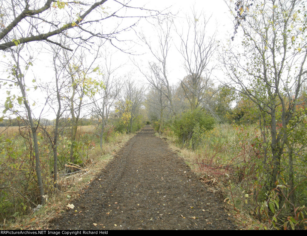 Looking West On The Morton Sub