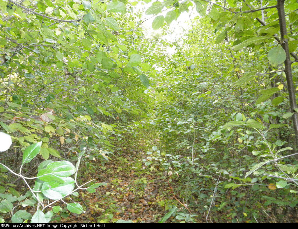 Lucien Sprague Would Cry