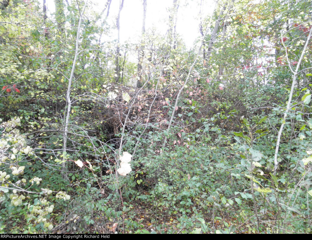 Old Cut Along The Morton Sub