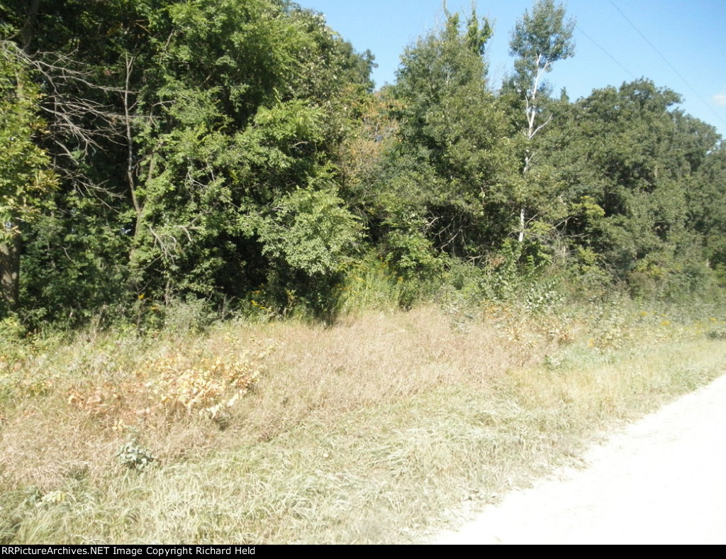 The Great Jungle Route