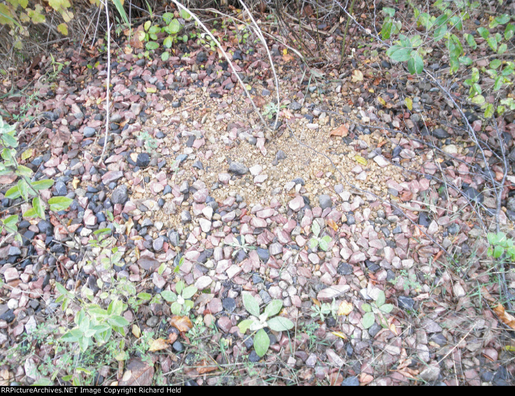 "Pink Lady" Ballast?