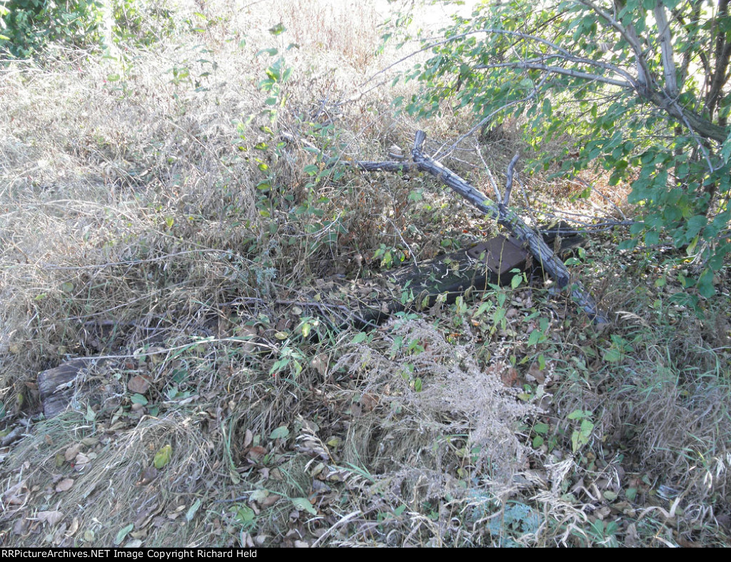 Old Tie Thrown Aside