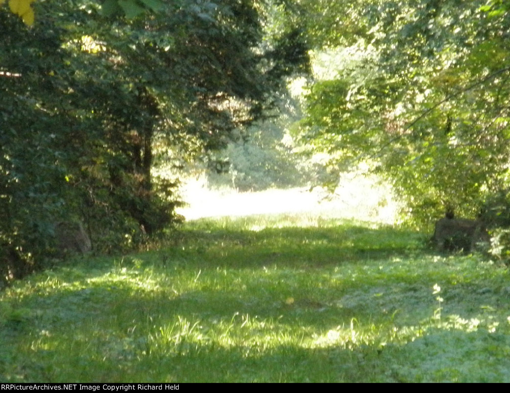 A Glimpse Of Forbidden Fruit