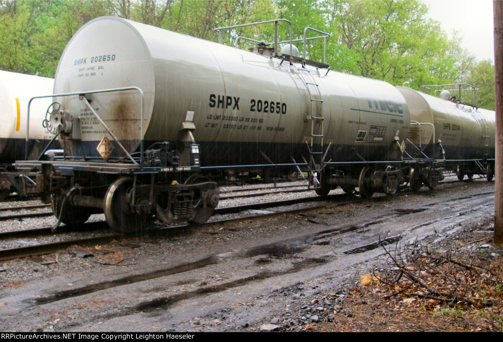 SHPX 202650 in Thiele paint