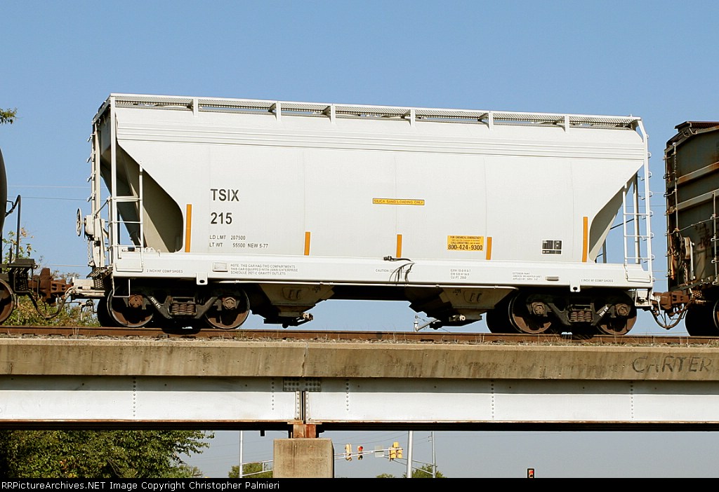 TSIX 215