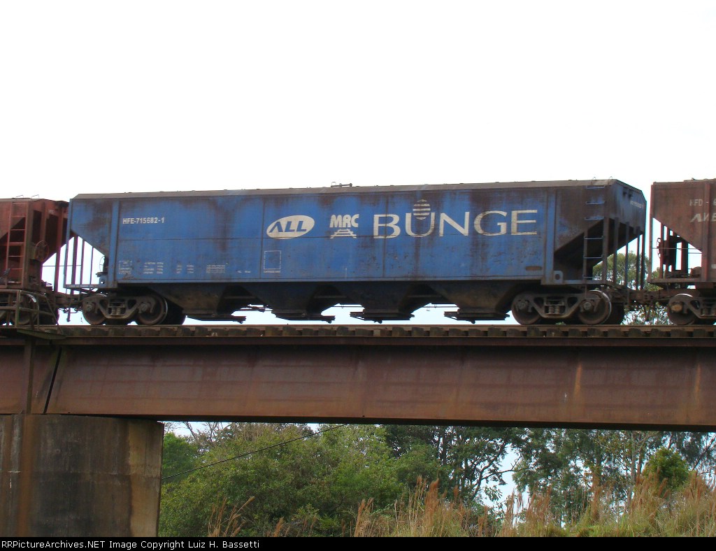 HFE 715682 / BUNGE