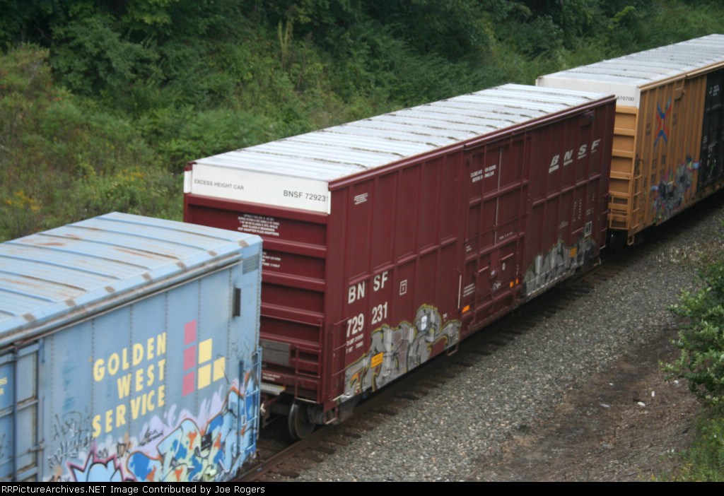 BNSF 729231