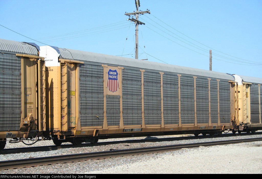 TTGX 988555
