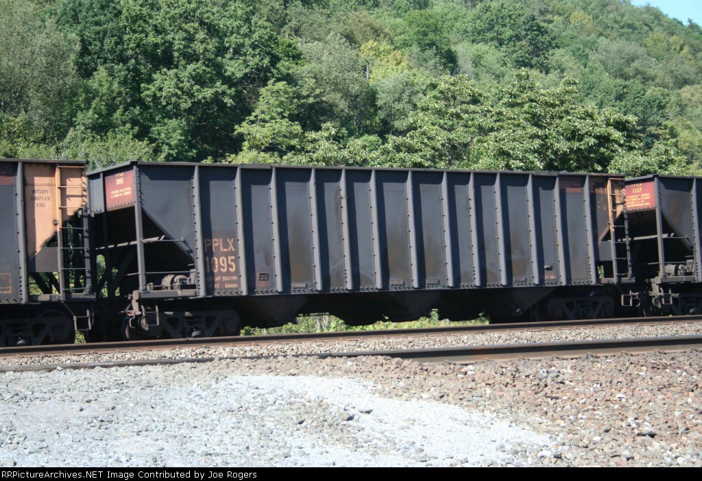 PPLX 1095