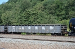 LVRR 146