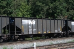 NS 331294