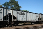 NS 31325