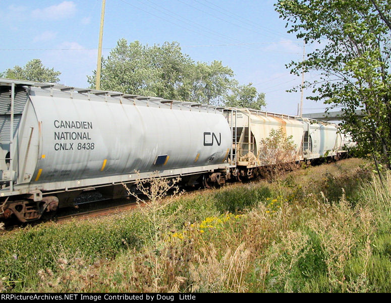 CNLX 8438