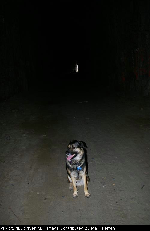 Spelunking with Bear