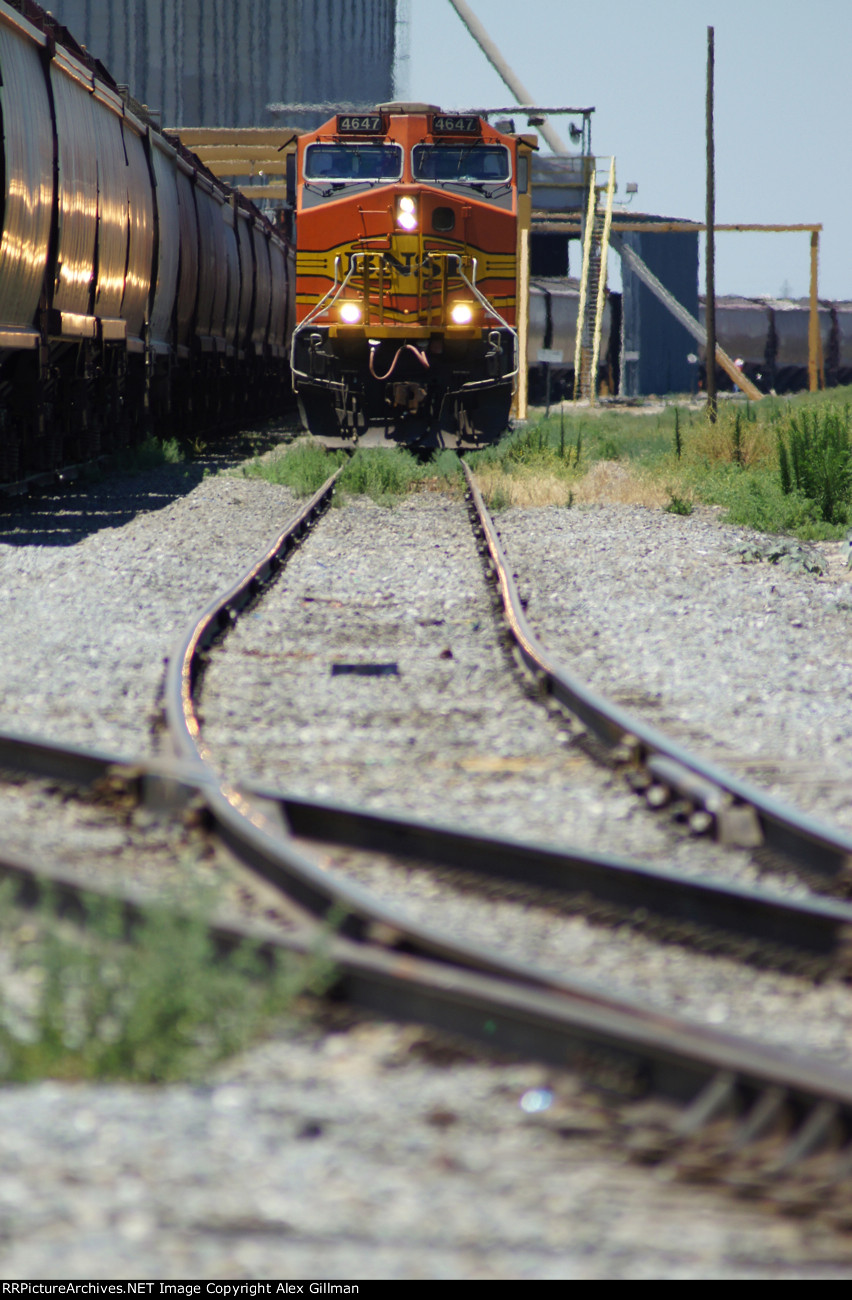 BNSF 4647 Head-On