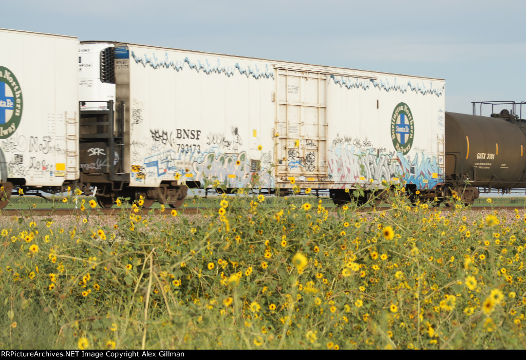 BNSF 793173 Eastbound