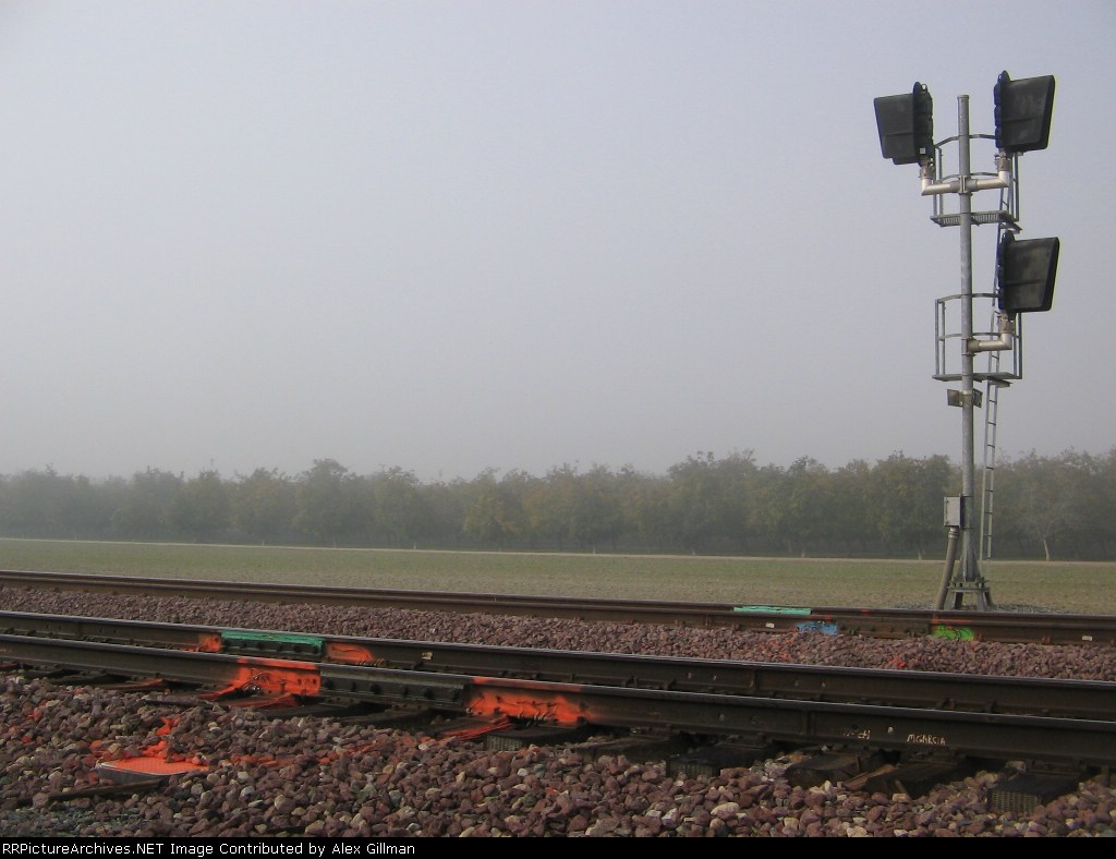 Foggy Morning, Colorful Tracks