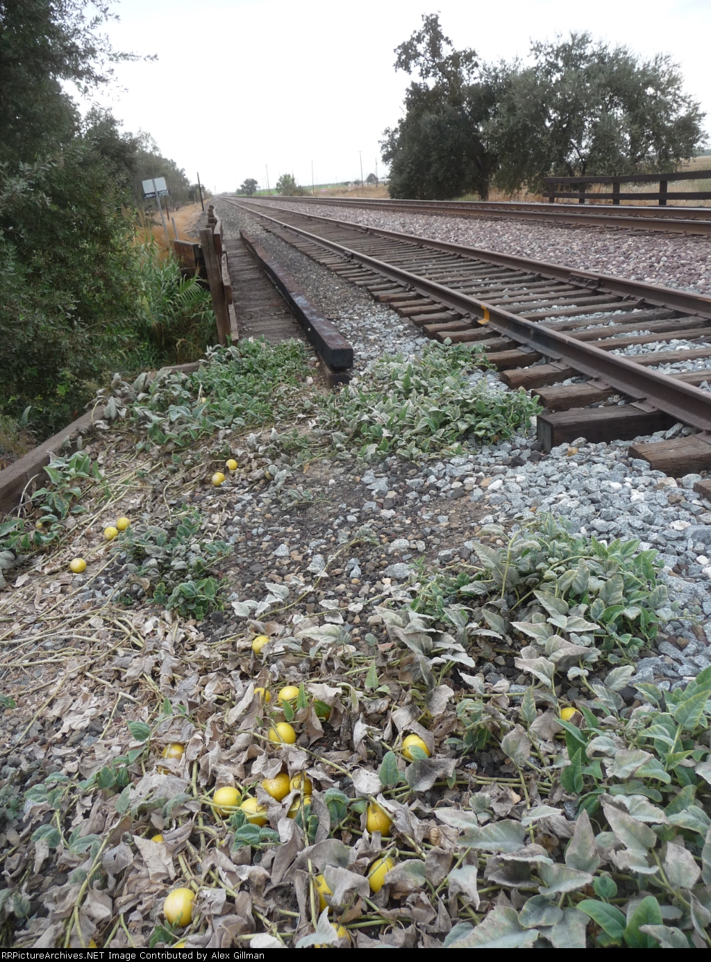 Good Eats Trackside!