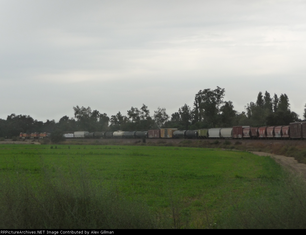 Westbound Manifest Across The Feilds