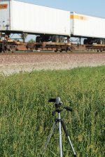 Everio Taking In the Action