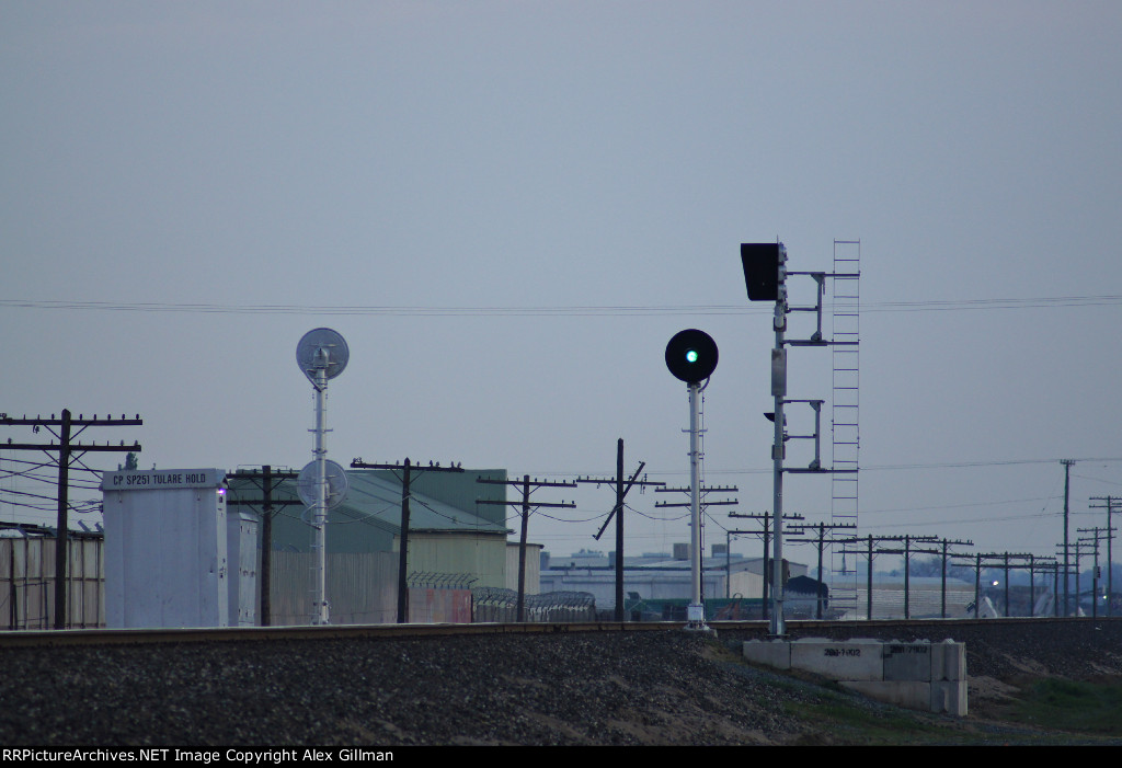Searchlight Burning Green