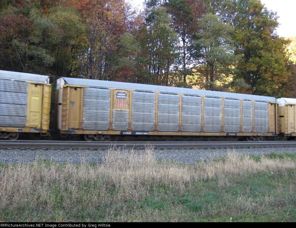 TTGX 908789