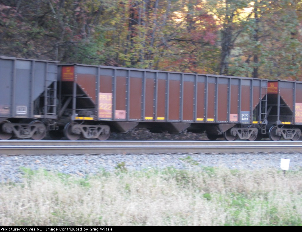PPLX 222