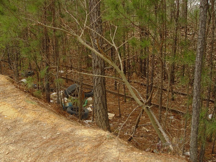 Trees, trash and RAILS!