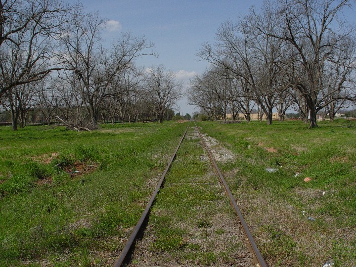 Rails and a pecan orchard