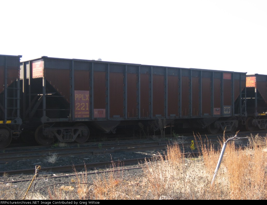PPLX 221