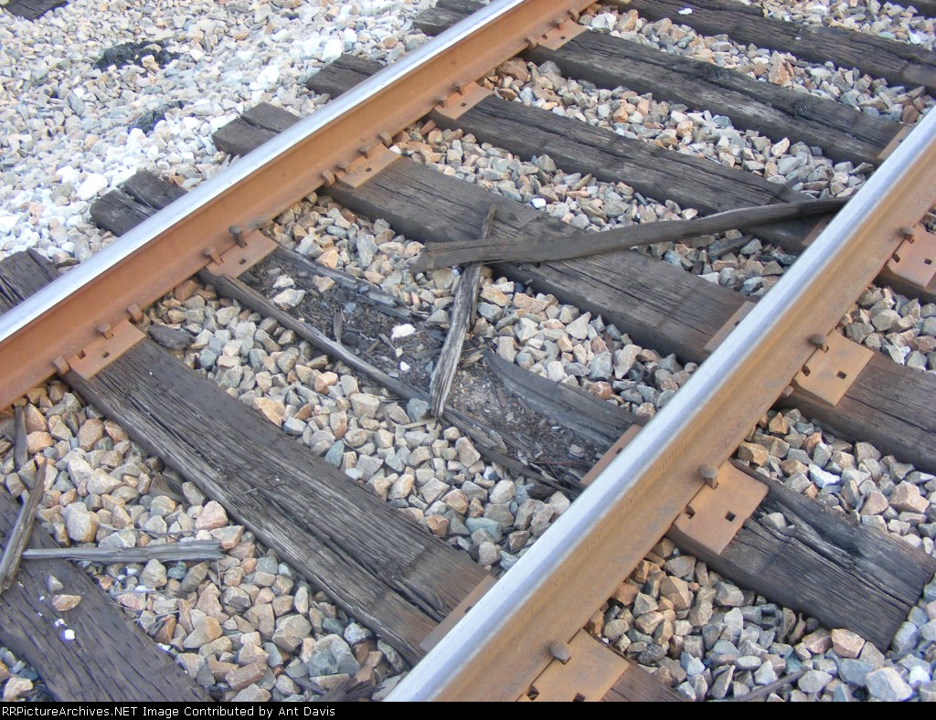 Some more old ties on the Main along the CSX McCormick Sub.