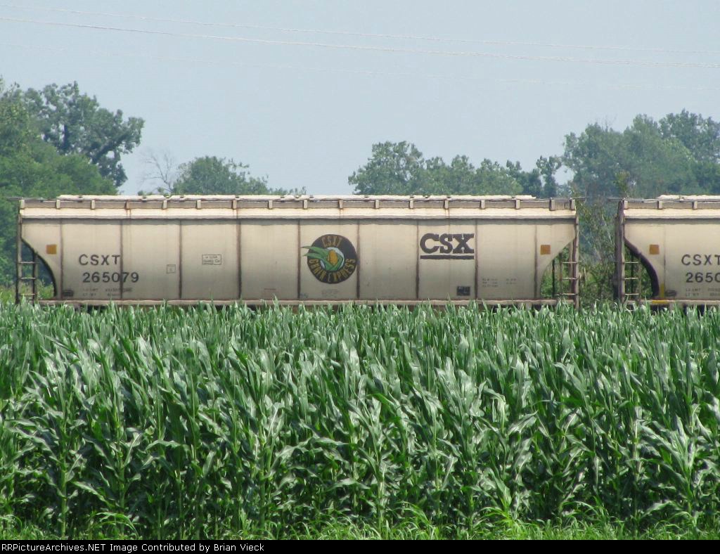 CSX 265079