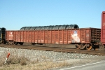 MP 650558