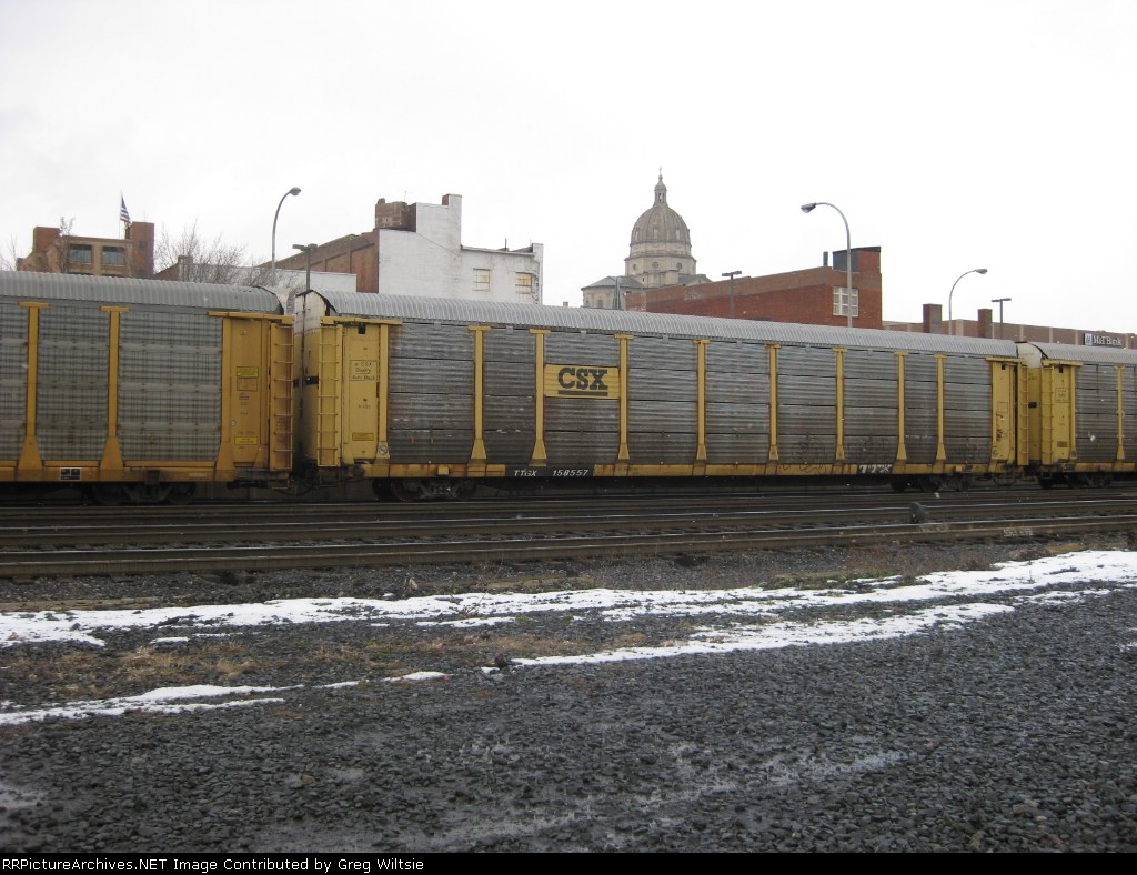 TTGX 158557