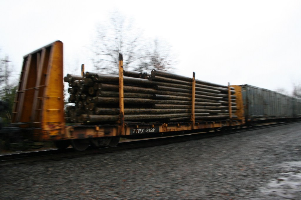 TTPX 81591
