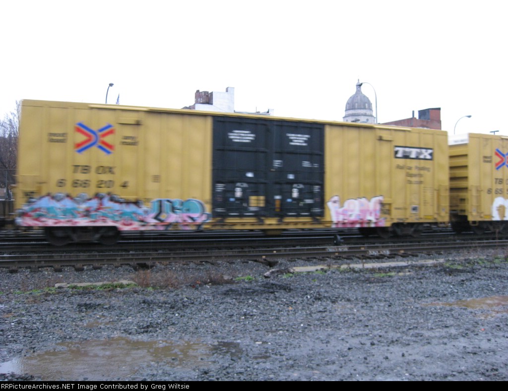 TBOX 666204