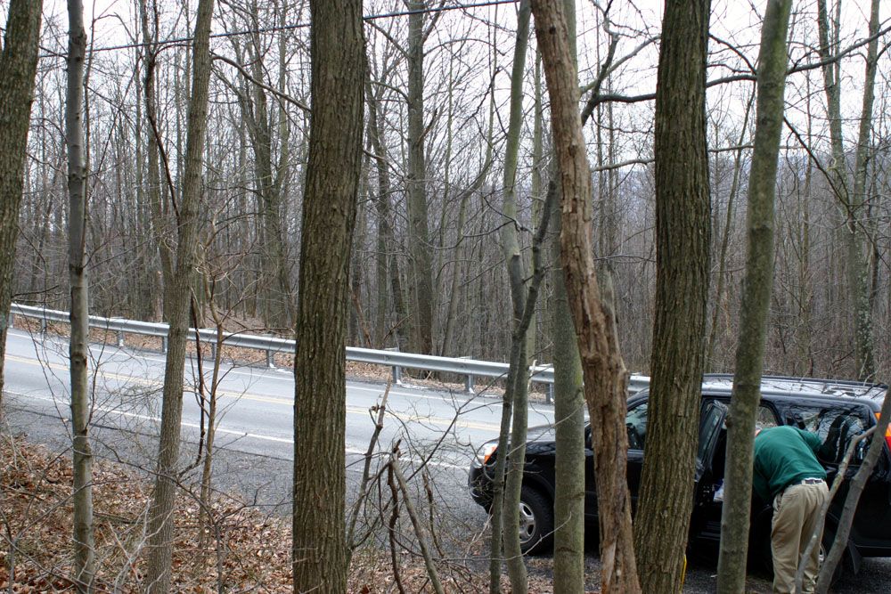 Looking North (pg. 56 of To the Mines and Back)