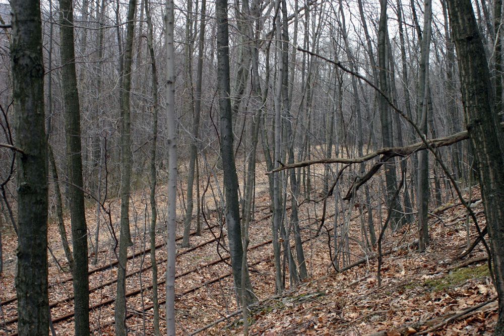 This pic begins the "Then and Now" section. Pictures were taken to match shots in "To the Mines and Back". This is looking South on pg. 57
