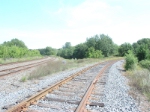 looking pretty much East from the West leg of the Cardigan Jct. wye.