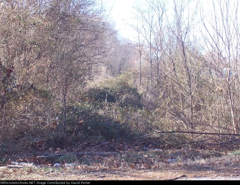 KWT track facing south toward Mckenzie, TN