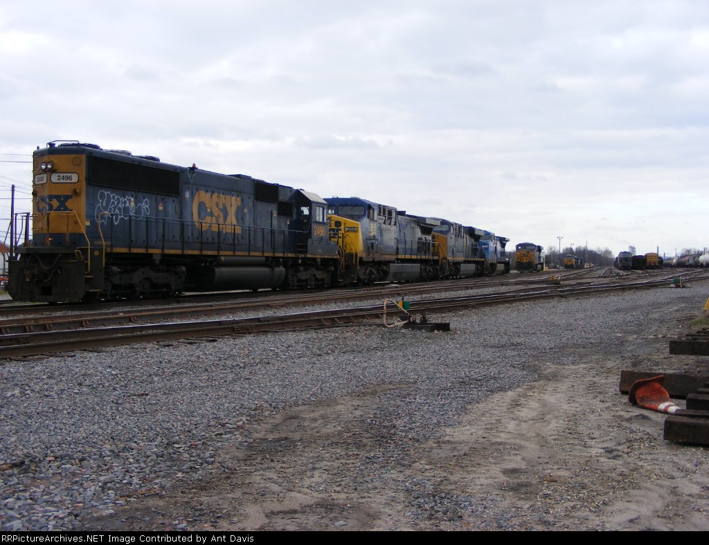 A Wider view of things in the Yard