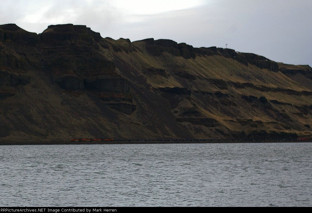 Coming Out of the Siding