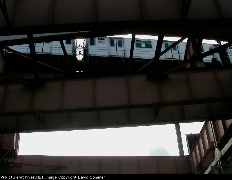 Beneath The Flushing Line